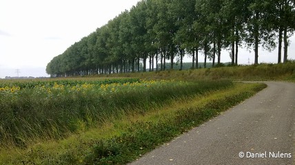 Daguitstapje naar het MEETJESLAND - DF Ukkel