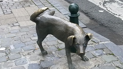 Kunde gaa Brussels spreike - DF Ukkel